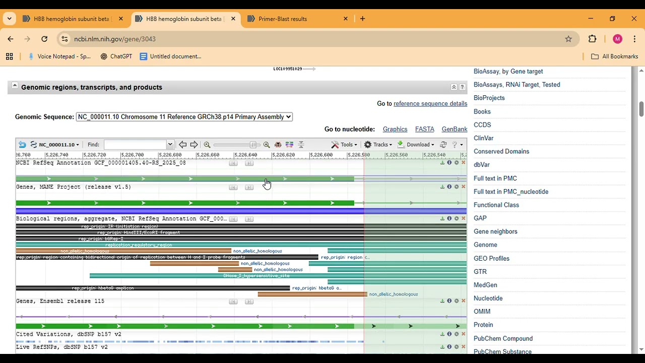Top Genetic Engineer Reveals Best Primer DESIGNING Techniques