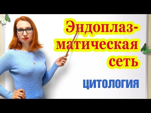 Эндоплазматическая сеть. Строение и функции.