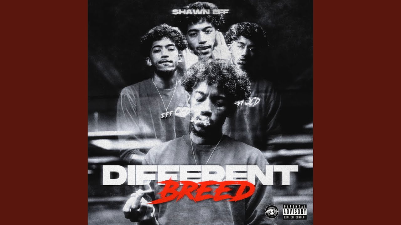 Act Different 2 auf YouTube ansehen Act Different 2 auf YouTube ansehen
