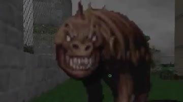 NeoDoom - Samsara - MAP11 - Duke Nukem