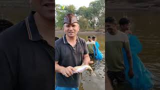 Butterfish (वाळंजी), known for its smooth texture and rich taste.