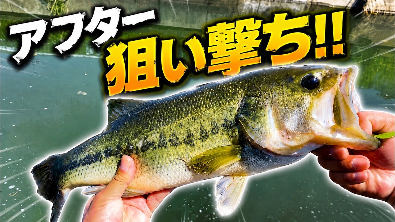 5月中旬バス釣り】狙うはアフター - YouTube