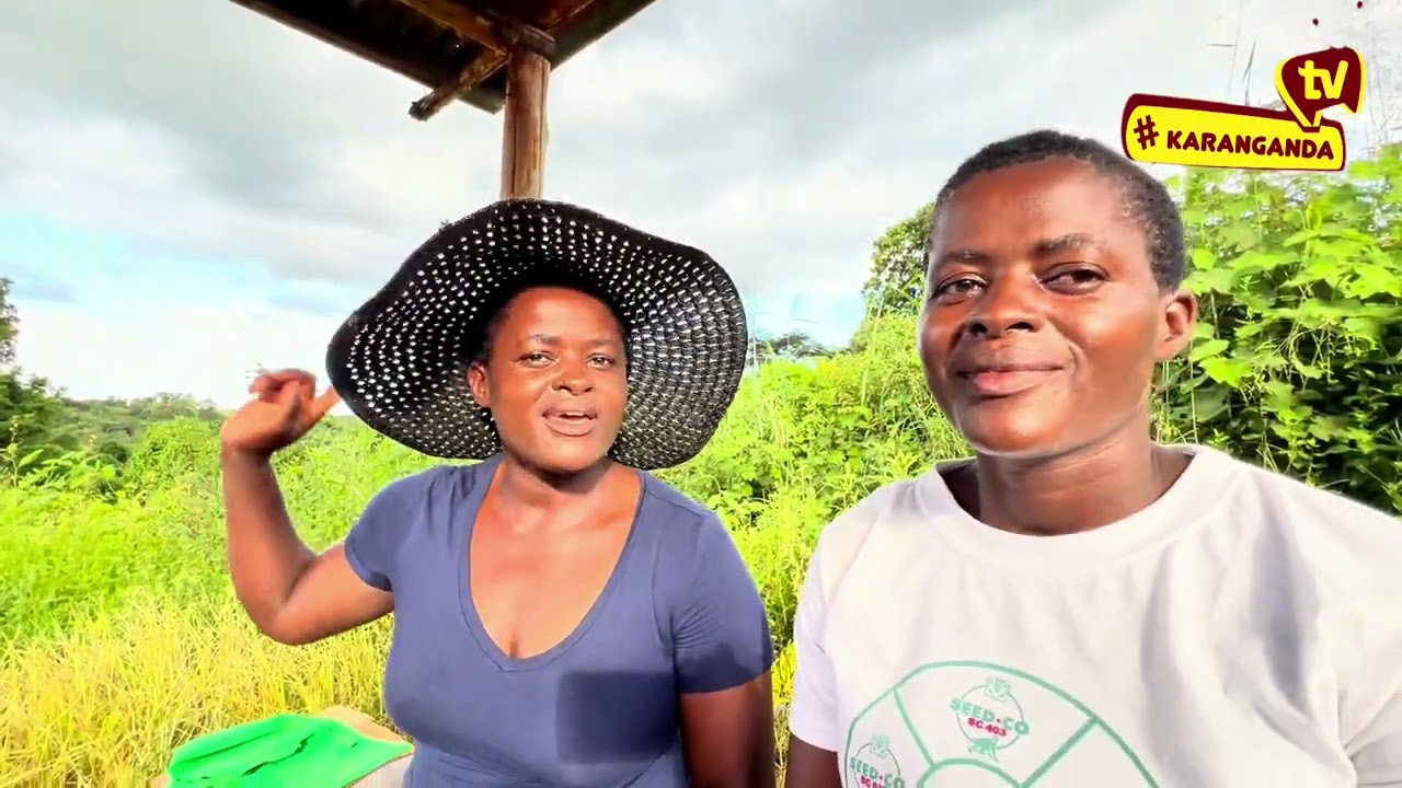 BaTaps Meet The Viewers Tour (MTVT) Honde valley Zindi