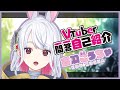 【自己紹介】Vtuber一問一答自己紹介【古羽こうちゃ / 新人Vtuber】