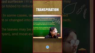 Transpiration in Plants | ICSE Biology | Reduced Exposed Surface, Spines & Thick Cuticle