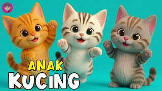 Anak Kucing Meong-Meong Lagu Anak Anak Ceria dan Lucu, Lagu Anak & Balita Terbaru