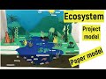 Ecosystem project model  ecosystem 3d model making  ecosystem paper model for science exhibition