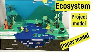 Ecosystem project model | Ecosystem 3d model making | Ecosystem paper model for science exhibition