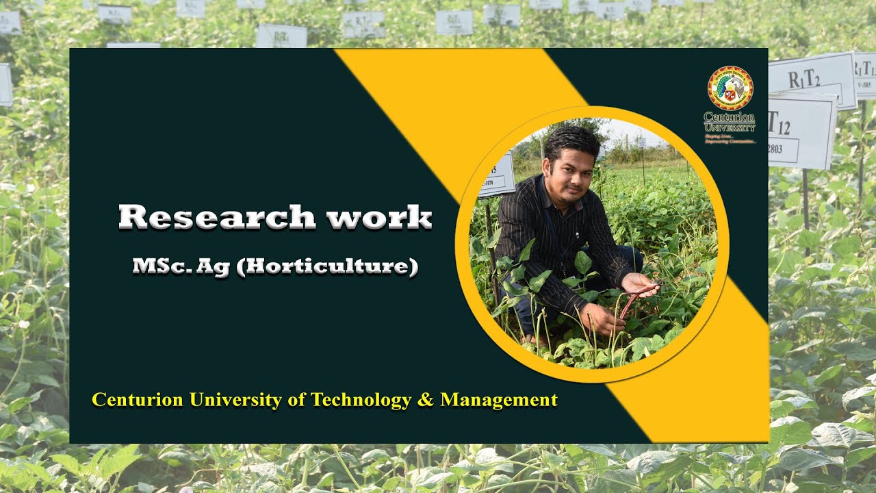 Research Work in Horticulture
