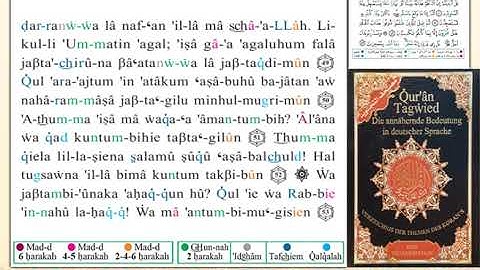 ختمة من مصحف التجويد باللغة الألمانية الصفحة رقم 214