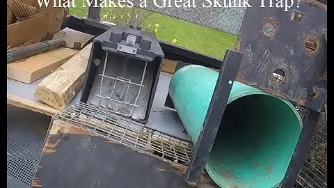 What is the Best Skunk Trap? |  Skunk Specific Trap | No Spray