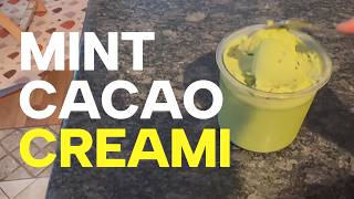 Mint Chocolate Chip Ninja Creami (Whole Food Plant-Based!)