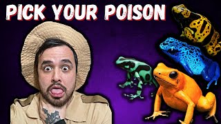 Best Beginner Poison Dart Frogs