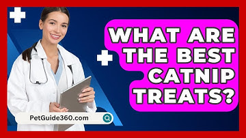 What Are The Best Catnip Treats? - PetGuide360.com