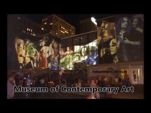 Video: Die 11 Besten Kostenlosen Museen In Chicago