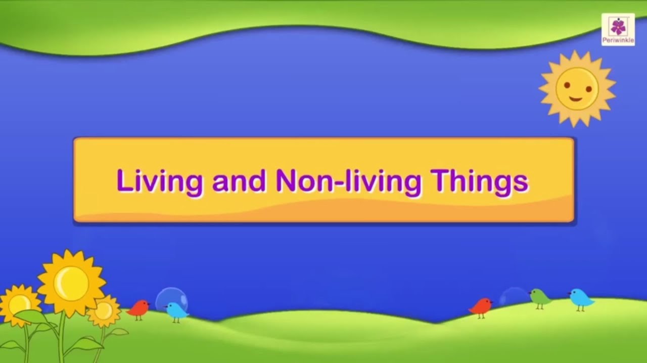 Living and Non-Living Things For Kids | #2 - YouTube