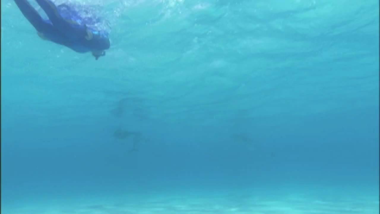 Salute to Freedom OPS Force Fin YouTube