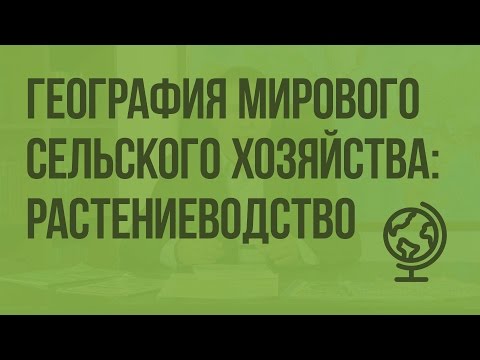 Видео: Разница между традиционным и современным сельским хозяйством