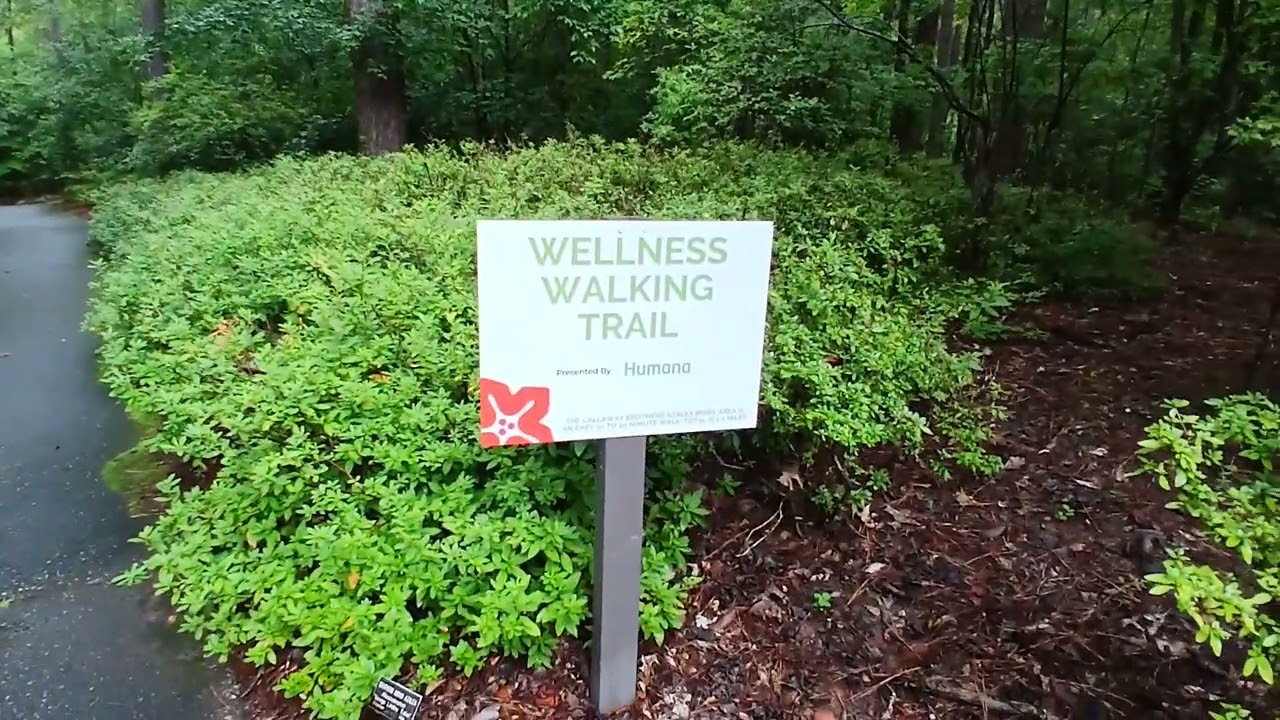 Azalea Bowl at Callaway Gardens 