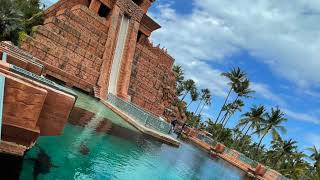 The Bahamas Vdeo   SD 480p