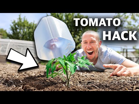 10 FREE Garden HACKS Using Household Items, You Can't Afford to Miss This!