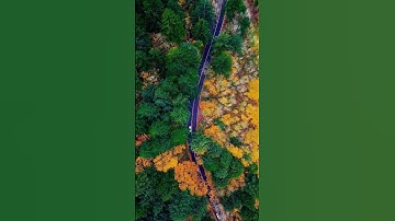 Turning Setbacks Into Comebacks #shorts