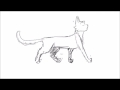 Cat Walk Cycle