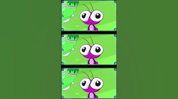 Bob Zoom Festa no Quintal!