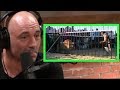 Joe Rogan Reacts to Man Fighting a Lion