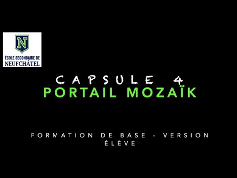 CAPSULE 4 MOZAIK PORTAIL Formation de base Version élève - ESN