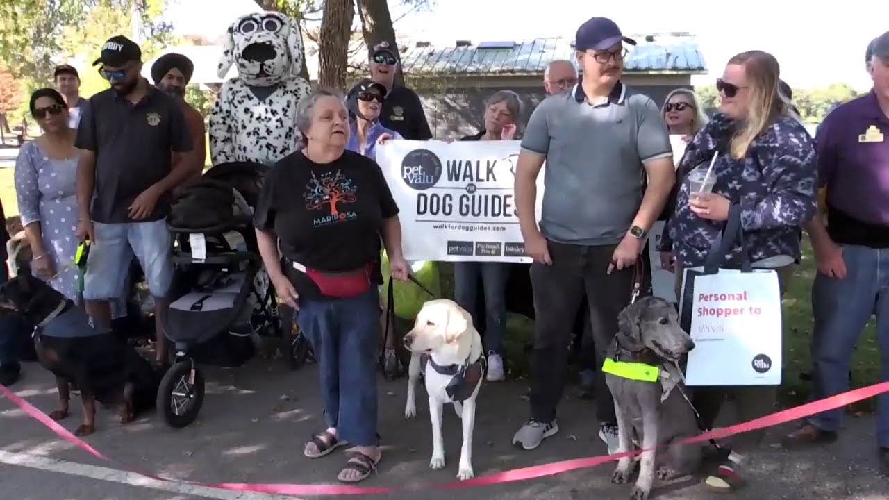 Orillia guide dog walk raises more than $10K