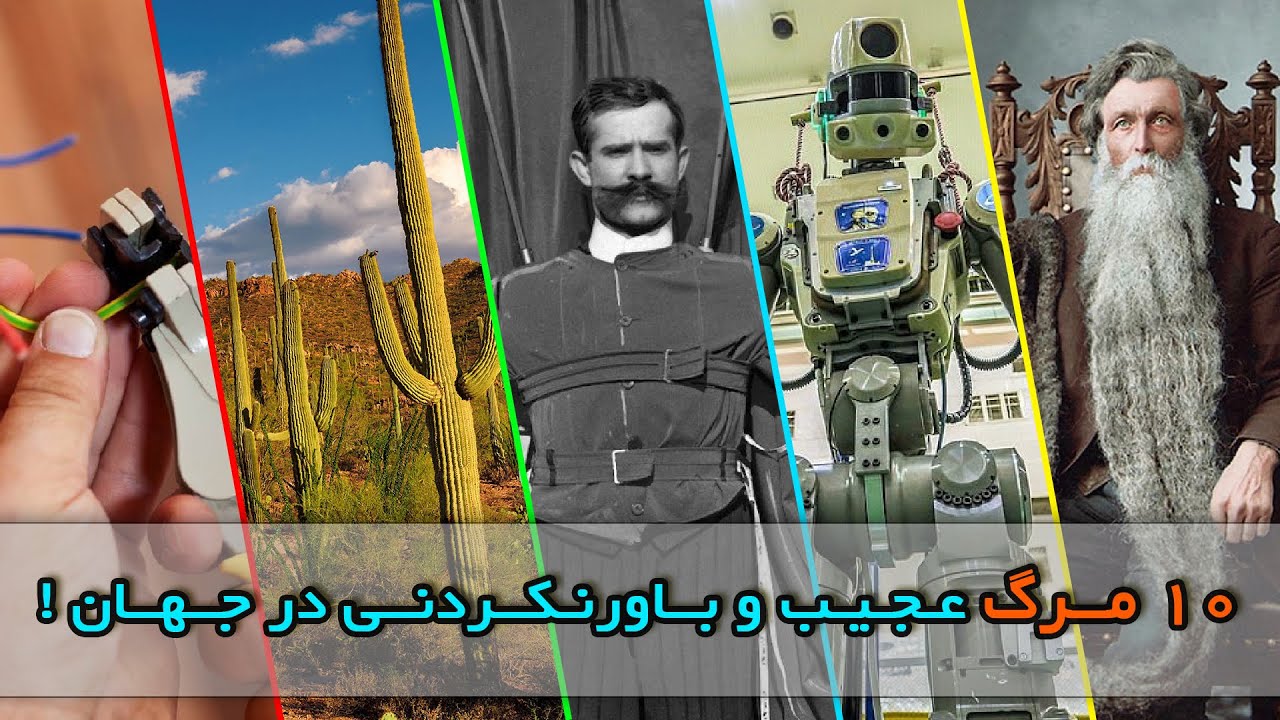 10 مرگ عجیب و باورنکردنی در جهان !