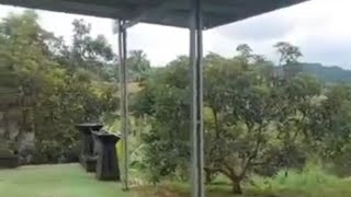 L5Ha SHM certificate, 120 thousand/m negotiable, pick up at location, 1700p productive avocado pl...