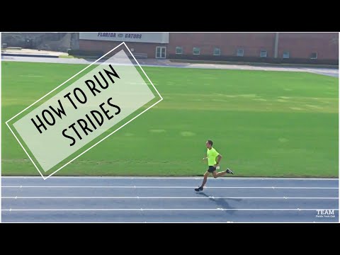 How to Run Strides