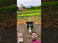 Mini Cannon#shorts#canon#soothing#ytshorts #trending #explorepage #dj #bamboo #trendingshorts #funny
