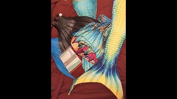 Mertailor Whimsy Fantasea Tail + MORE unboxing!