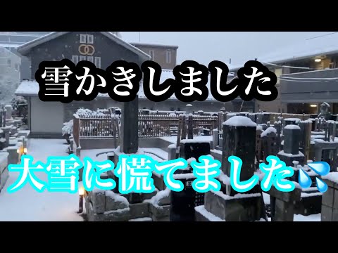 久しぶりの雪かき