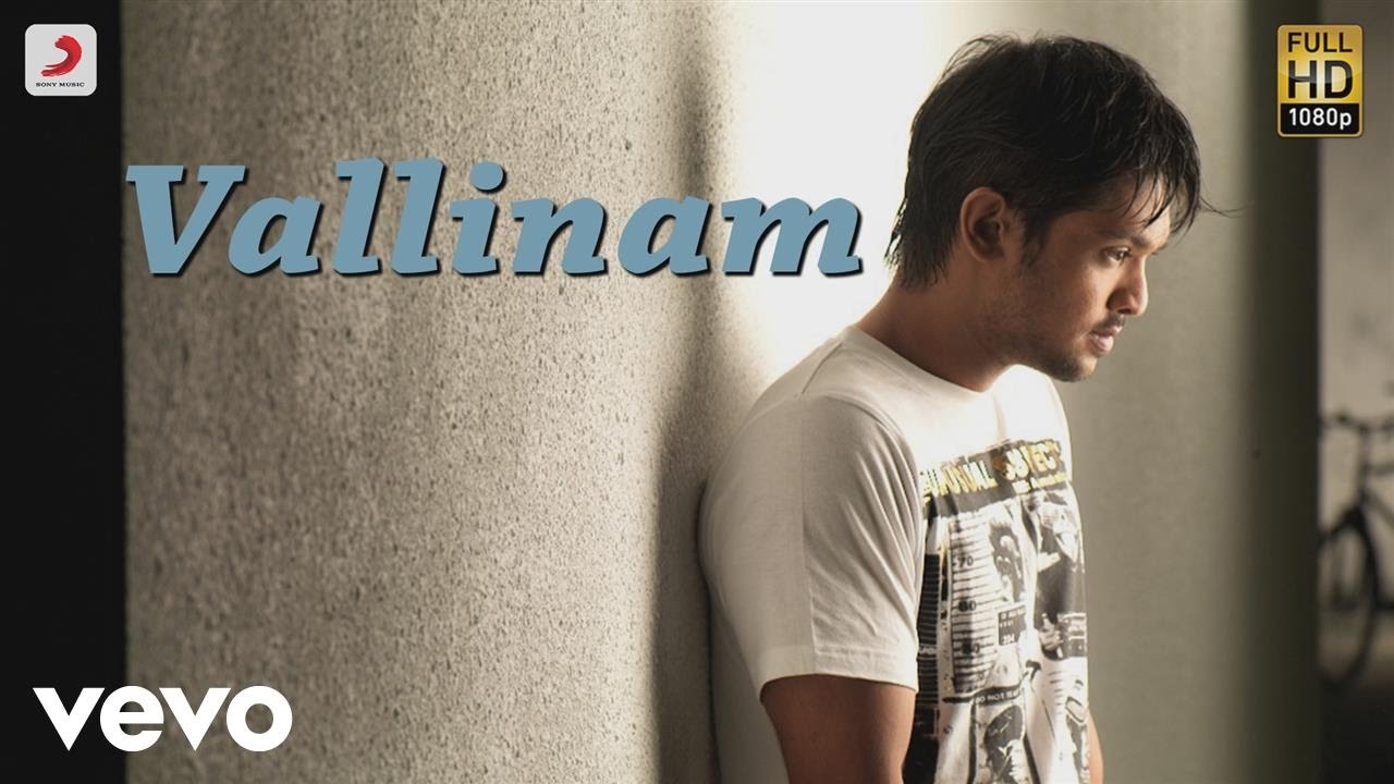 Vallinam   Title Track Full Song Audio  SS Thaman  Nakul