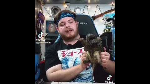 snapping turtle bites itself meme