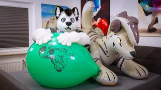 24 Belbal Printed Hyenaballoon And Inflatable Bounce & Blow Up - Skeppo -