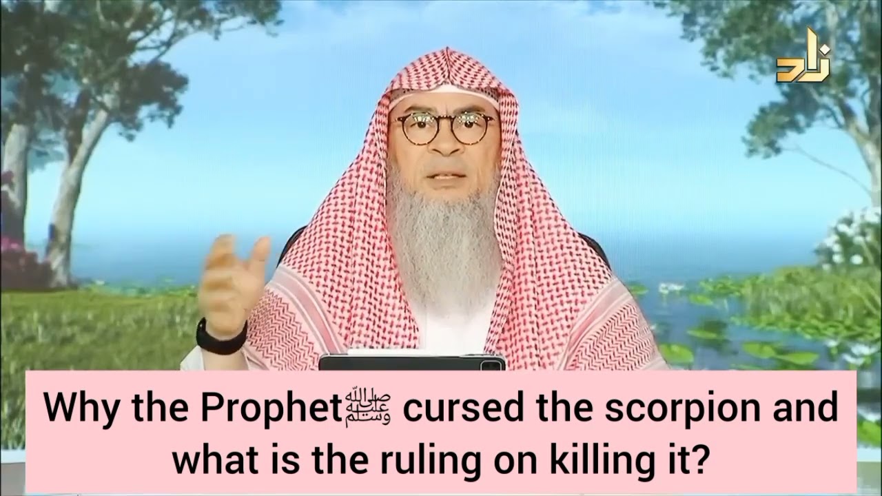 Why did Prophet ﷺ‎ curse the Scorpion 🦂 & what's the ruling on killing it? - assim al hakeem