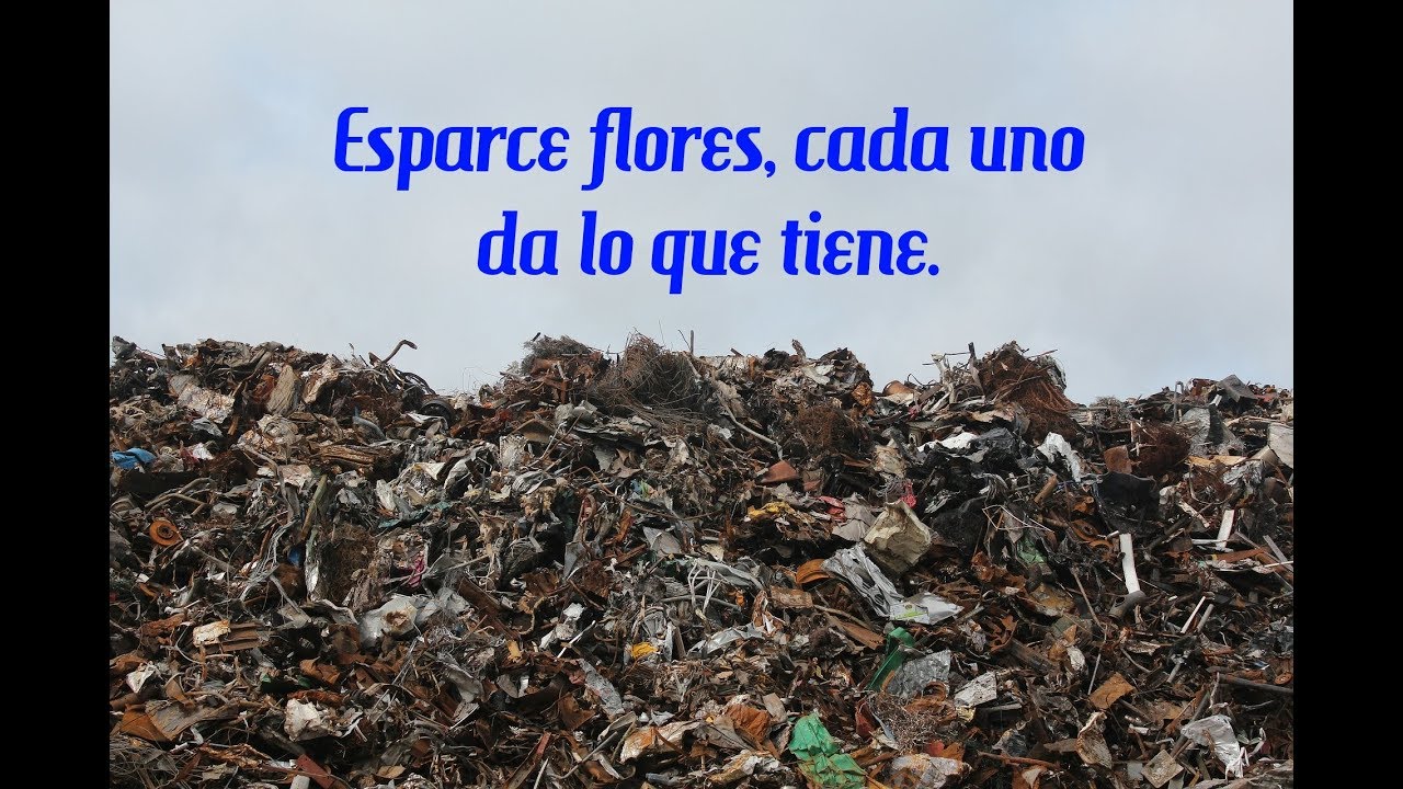 CUANDO TE ECHAN BASURA. Martes XI semana del Tiempo Ordinario, ciclo B (Mt 5,43-48) meditacion para principiantes