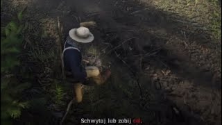 RDO new quest - hunting on cats in Strawberry