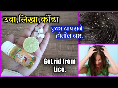 Toshakda yalangoch etuk ayollar fotosuratlari