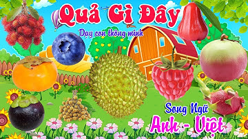 Quả Gì Đây 2 - Dạy Bé Nhận Biết Các Loại Hoa Quả Trái Cây - Song Ngữ Anh Việt