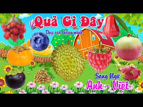 Video Quả Gì Đây 2 - Dạy Bé Nhận Biết Các Loại Hoa Quả Trái... - youtube