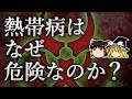 【共倒れ】なぜウイルスは宿主の命を奪うのか?【ゆっくり解説】