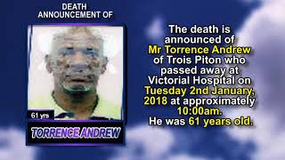 Torrence Andrew short