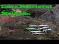 Lure retrieval methods -  Lure types, Simple retrieval and twitching
