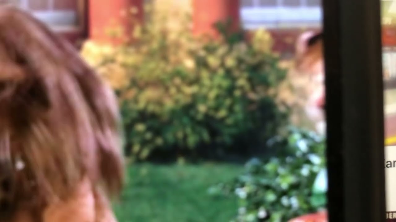 Lionel baseball hi dad Are you guys going?￼